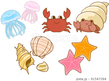 海の生き物5種類 91587268