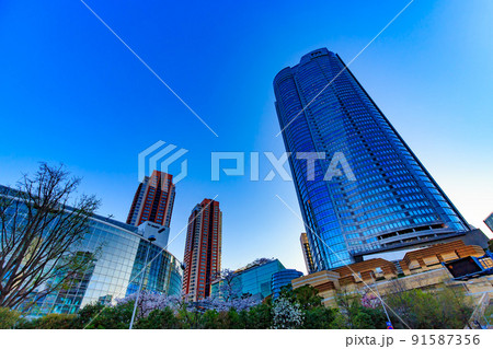 東京 港区六本木の都市風景 六本木ヒルズ 東京 港区六本木の都市風景 六本木ヒルズ 91587356