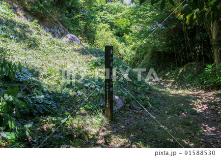 水口岡山城跡 91588530