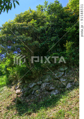 水口岡山城跡 水口岡山城跡 91588531