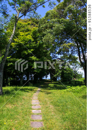 水口岡山城跡 水口岡山城跡 91588536