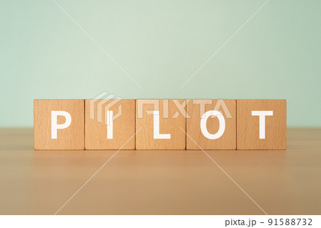 パイロットのイメージ｜「PILOT」と書かれたブロック 91588732
