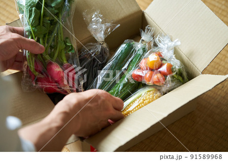 産地直送の新鮮野菜 91589968