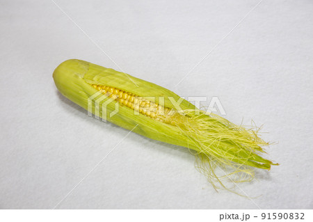 家庭菜園で収穫した採れたてトウモロコシのテーブルフォト 家庭菜園で収穫した採れたてトウモロコシのテーブルフォト 91590832