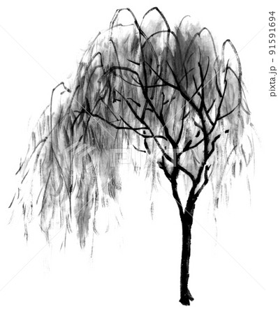 水墨画技法で描いた柳の木のイラスト素材 [91591694] - PIXTA