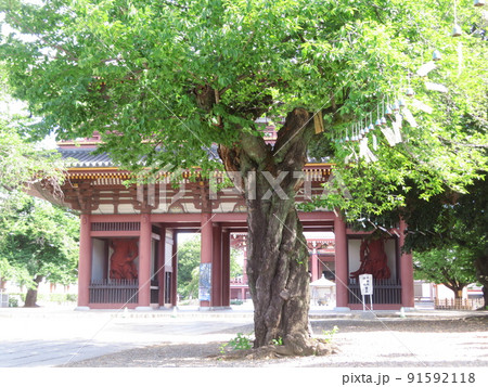 東京都大田区池上本門寺の風鈴 91592118