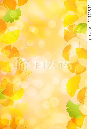 紅葉　イチョウ　秋　背景 91592356