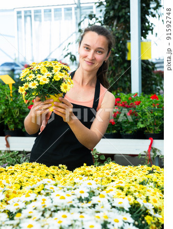 Florist demonstrating pot of garden flowers Florist demonstrating pot of garden flowers 91592748