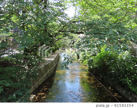 かつて水運を担った京都の高瀬川 かつて水運を担った京都の高瀬川 91593354