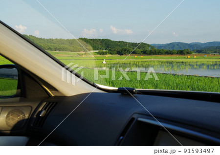 乗用車の運転席から眺めた夕方の水田にコウノトリが小さく見えている構図 ... 島根県安来市：晴れ 91593497