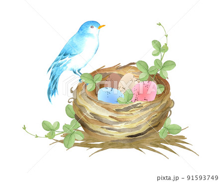 Bird Nest Drawing Vector Images (over 4,900)