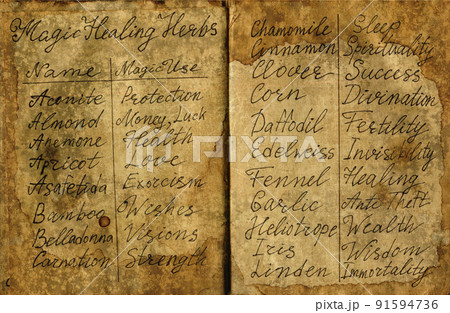 Hand drawn Halloween illustration of old page with names of magic plants for witch spell book. Hand drawn Halloween illustration of old page with names of magic plants for witch spell book. 91594736