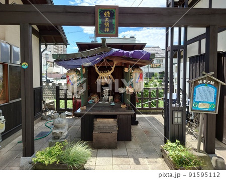 カエル大明神　長野県松本市ナワテ通り 91595112