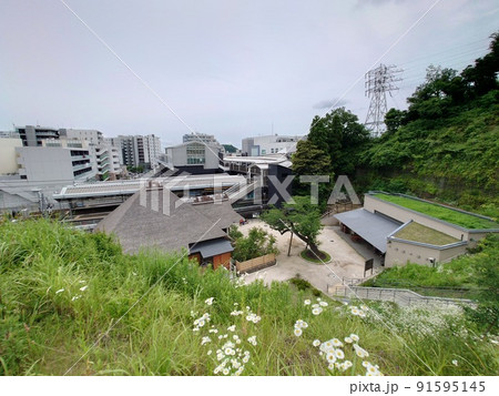 金沢八景権現山公園茅葺屋根A 91595145