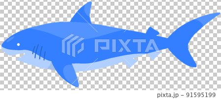 角鯊 角鯊 91595199