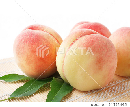 桃 白バック 桃 白バック 91595446