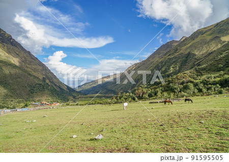 サルカンタイトレッキングの風景 91595505