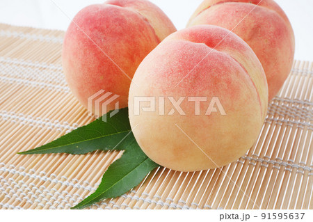 桃 白バック 桃 白バック 91595637