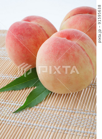 桃 白バック 桃 白バック 91595638