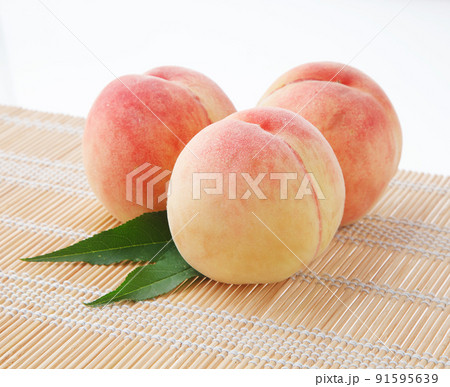 桃 白バック 桃 白バック 91595639