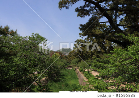 西宮市　苦楽園口橋から見た夙川 91595838