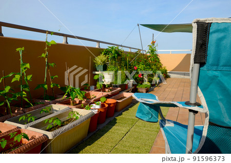 ルーフバルコニーでキャンプ気分 91596373