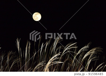 秋の風物詩 中秋の名月とススキ/ 91596485