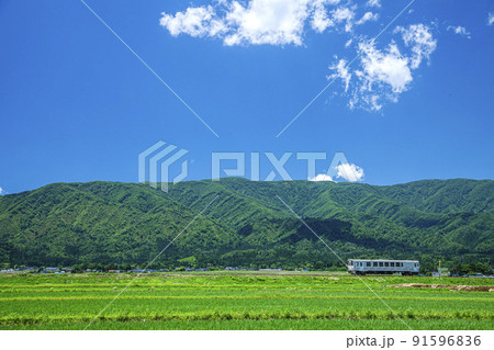 ローカル電車 91596836