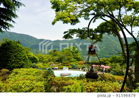 箱根強羅公園　初夏の風景 91596879