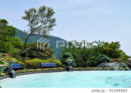 箱根強羅公園 初夏の風景 箱根強羅公園 初夏の風景 91596882