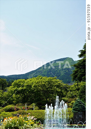 箱根強羅公園 初夏の風景 箱根強羅公園 初夏の風景 91597039