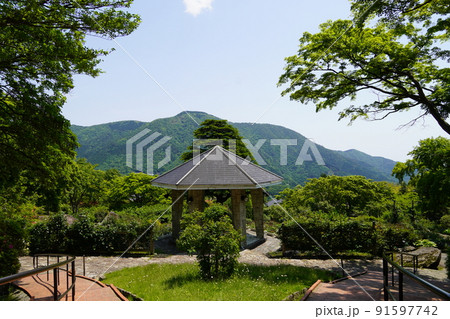 箱根強羅公園 初夏の風景 箱根強羅公園 初夏の風景 91597742