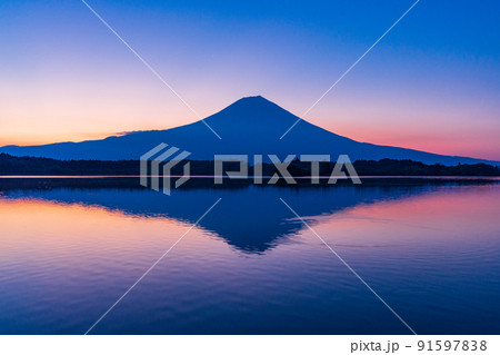 （静岡県）富士山・田貫湖の夜明け　夏 91597838