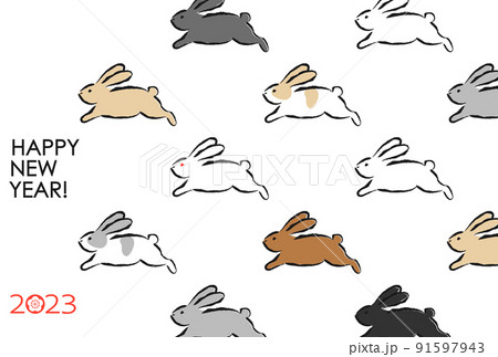 2023年賀状　うさぎいろいろ　シンプル 91597943