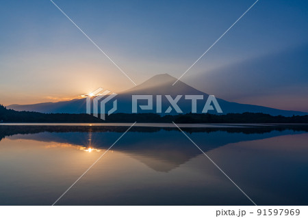 （静岡県）富士山・田貫湖の夜明け　夏 91597969