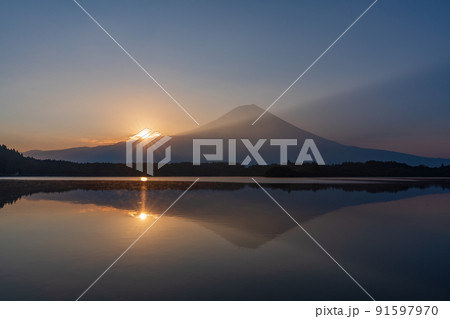 （静岡県）富士山・田貫湖の夜明け　夏 91597970