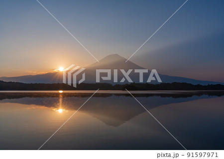 （静岡県）富士山・田貫湖の夜明け　夏 91597971