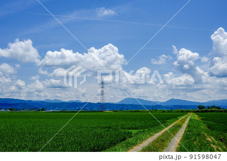 Cloud and Contrail 91598047
