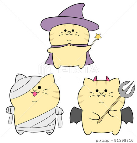 ゆるかわ茶トラのハロウィンコスプレ　3点セット① 91598216