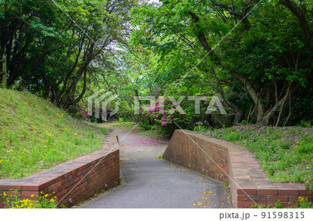 レンガ造りの遺構と山道の先の光|古い煉瓦に生える木々 91598315