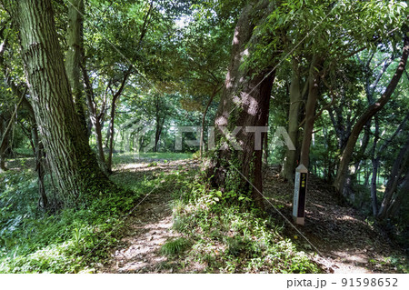 松山城跡の二ノ曲輪の入り口【国指定史跡・比企城館跡群】/埼玉県比企郡吉見町 松山城跡の二ノ曲輪の入り口【国指定史跡・比企城館跡群】/埼玉県比企郡吉見町 91598652