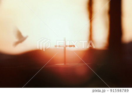 クロス 鳩 白 91598789