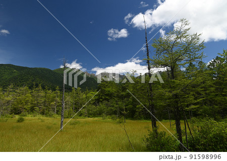 上高地 田代池と穂高 上高地 田代池と穂高 91598996