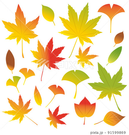 秋の落ち葉のイラストセット 91599869