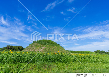 《福岡県》新原・奴山古墳群　福津市 91599945