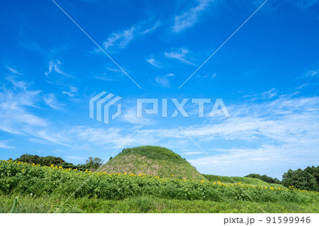 《福岡県》新原・奴山古墳群　福津市 91599946