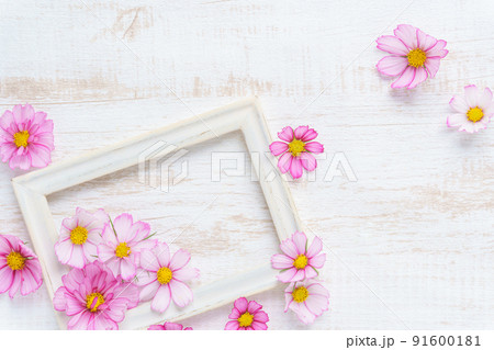 かわいいコスモスの木目フレーム 91600181