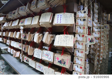 多度大社 三重県 多度大社 三重県 91600966