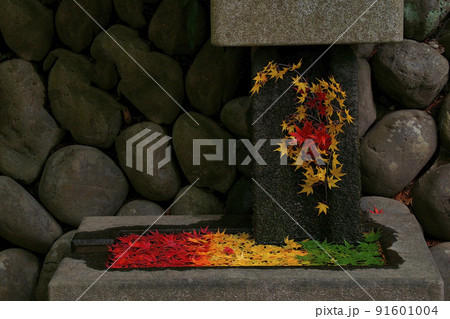 紅葉 紅葉 91601004