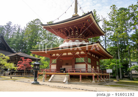 【和歌山県】 金堂 【和歌山県】 金堂 91601192